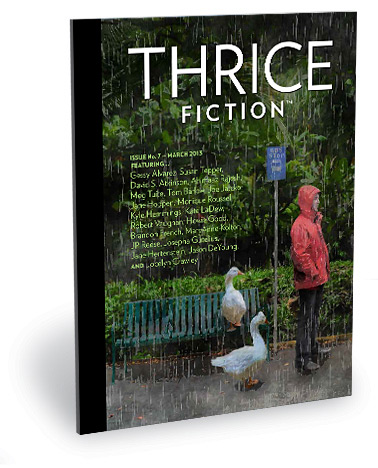 Thrice Fiction Magazine No. 7