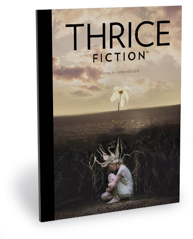 Thrice Fiction Magazine No. 9