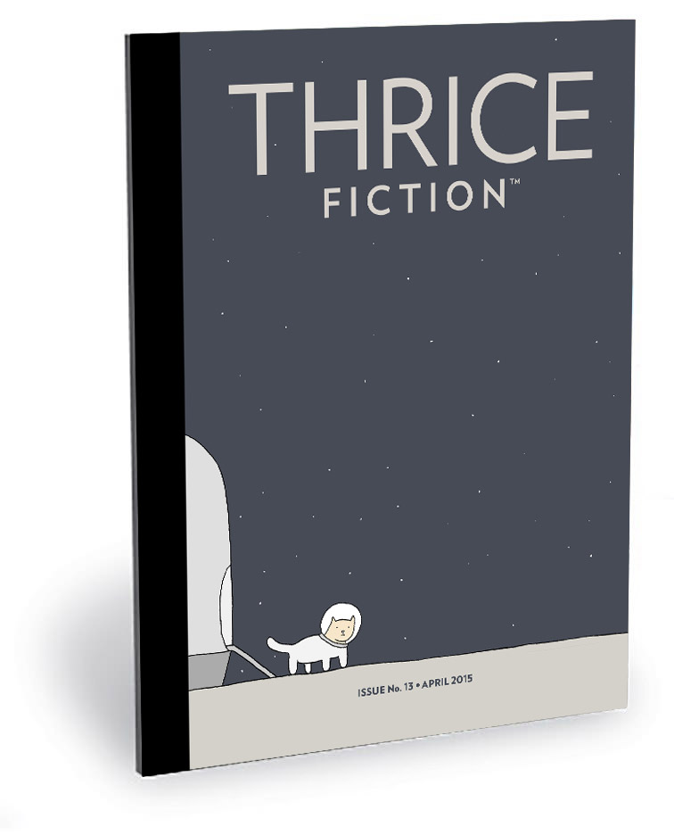 Thrice Fiction Magazine No. 13