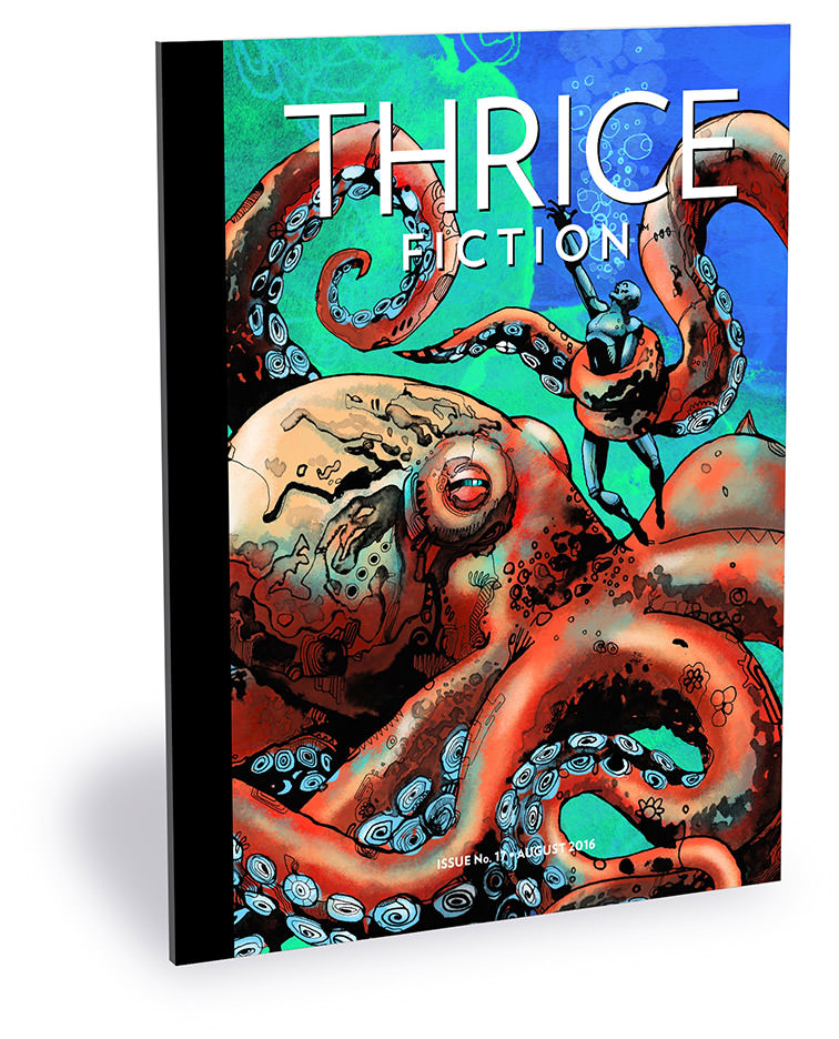 Thrice Fiction Magazine No. 17